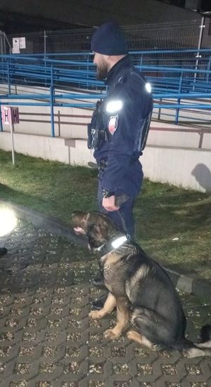 Działania policjantów na terenie powiatu górowskiego