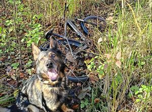 Areszt dla 38-latka za kradzieże i kradzieże z włamaniem!