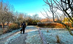 Górowscy funkcjonariusze kontrolują działki i pustostany- bezpieczeństwo w mroźne dni!