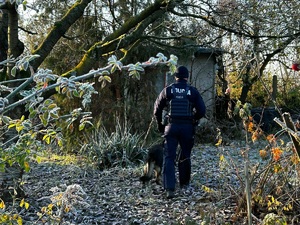 „Pomagamy i chronimy”- nie bądźmy obojętni w czasie mrozów! Dla wielu z nas to drobny gest, lecz dla seniorów- ogromna pomoc!
