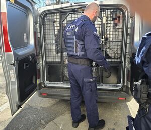 Podsumowanie akcji „Poszukiwany” na terenie powiatu górowskiego