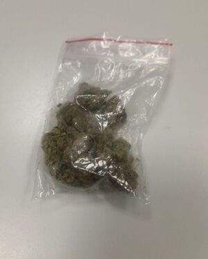 Na zdjęciu znajduje się woreczek strunowy z suszem roślinnym- marihuaną.